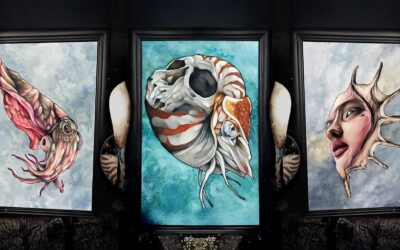 Exposition  » Sublimes Horreurs »